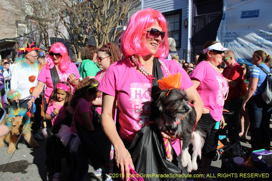 Mystic-Krewe-of-Barkus-2015-13044