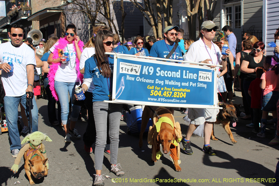 Mystic-Krewe-of-Barkus-2015-13048