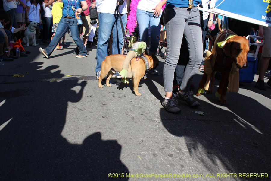 Mystic-Krewe-of-Barkus-2015-13049