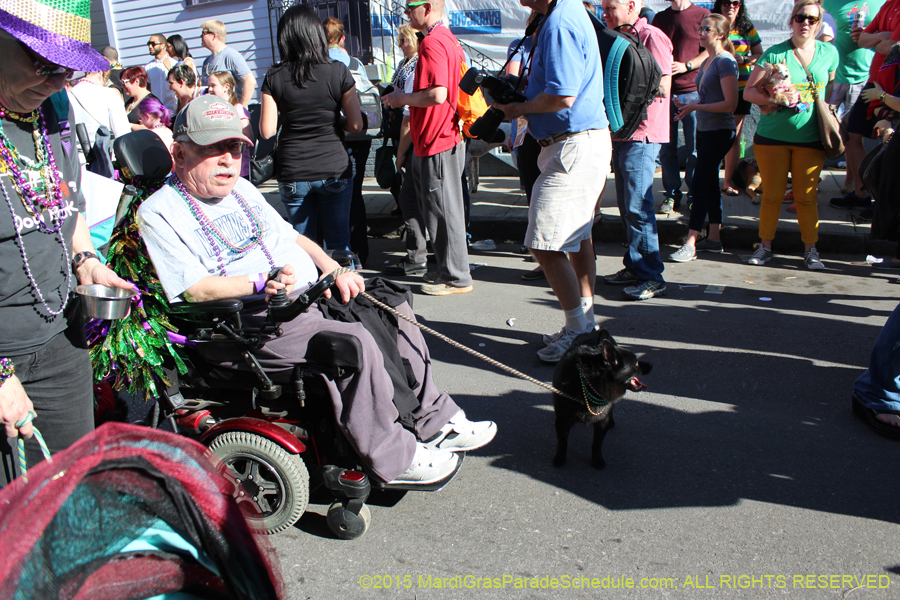 Mystic-Krewe-of-Barkus-2015-13061