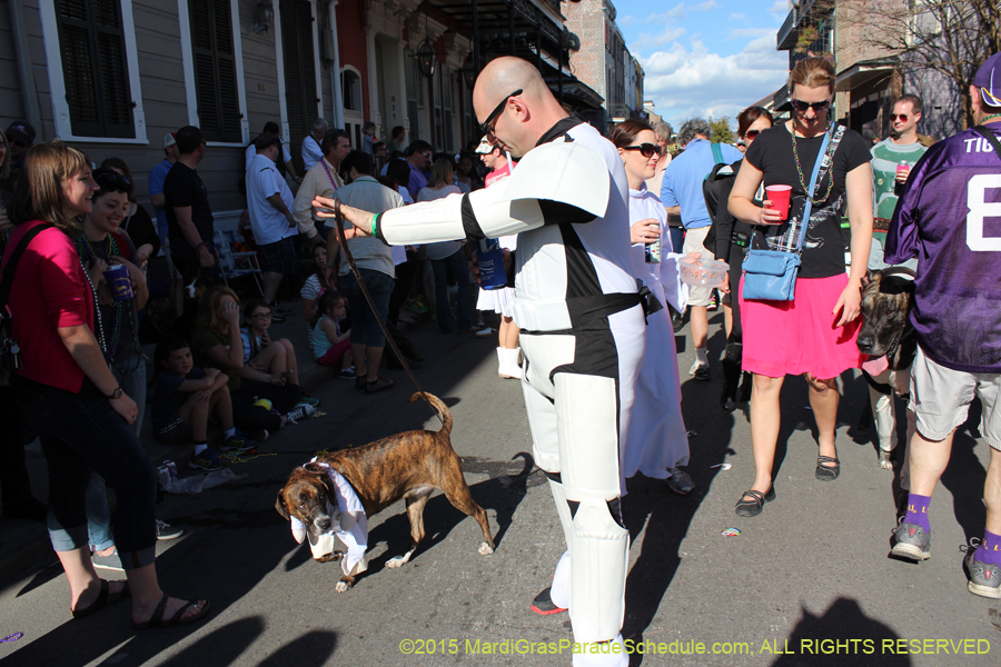 Mystic-Krewe-of-Barkus-2015-13062