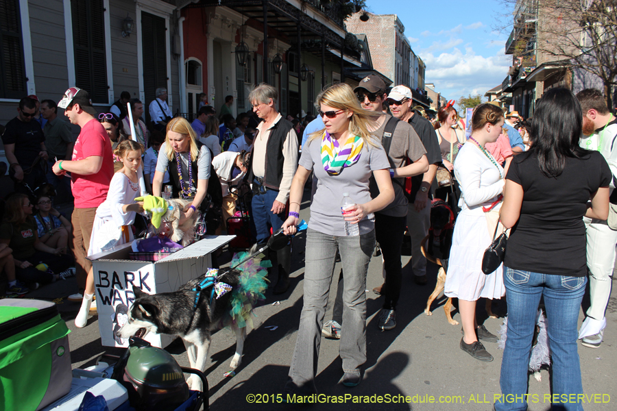 Mystic-Krewe-of-Barkus-2015-13063