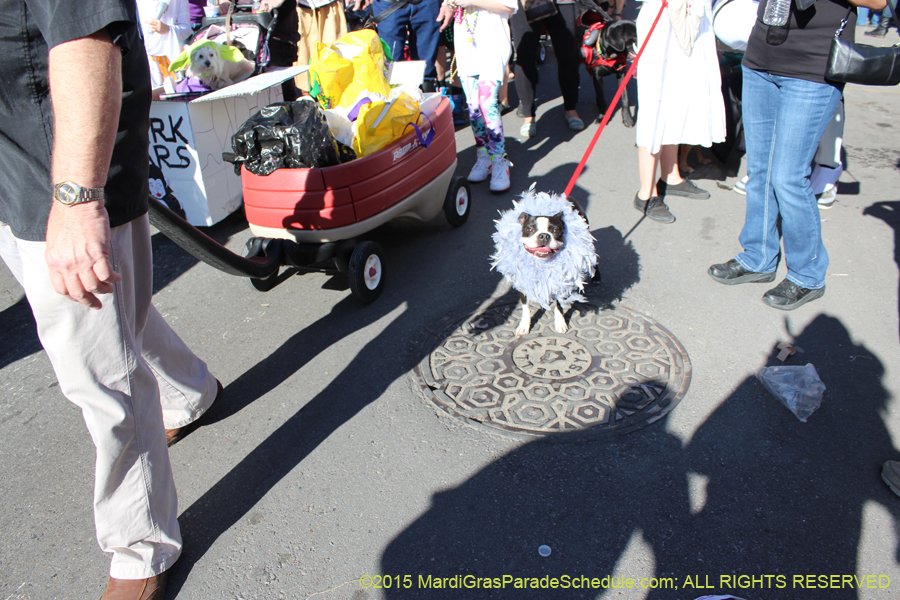 Mystic-Krewe-of-Barkus-2015-13064