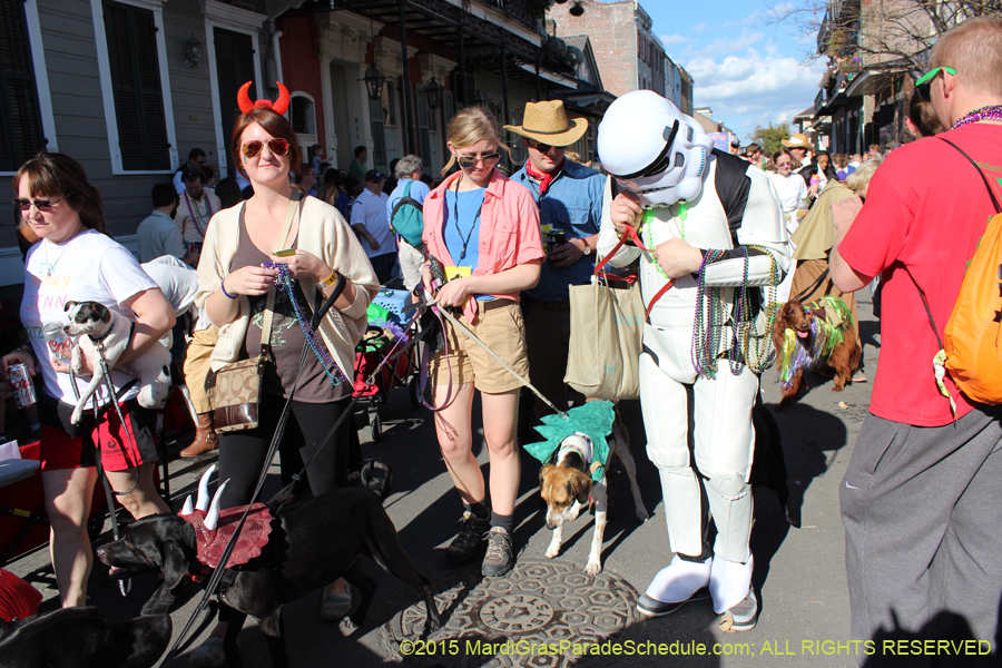 Mystic-Krewe-of-Barkus-2015-13065