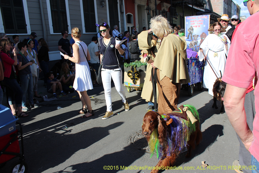 Mystic-Krewe-of-Barkus-2015-13066