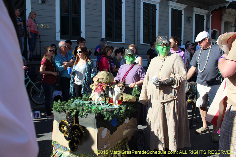 Mystic-Krewe-of-Barkus-2015-13069