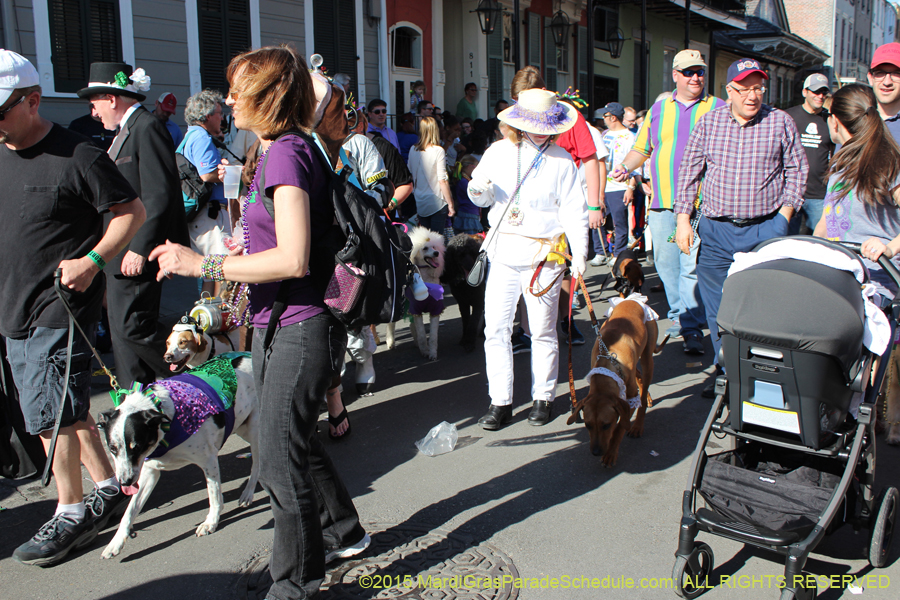 Mystic-Krewe-of-Barkus-2015-13073