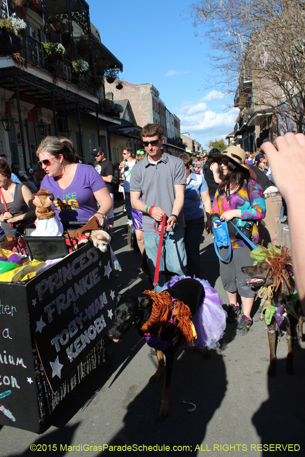 Mystic-Krewe-of-Barkus-2015-13076