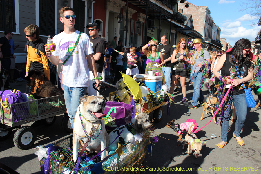 Mystic-Krewe-of-Barkus-2015-13077