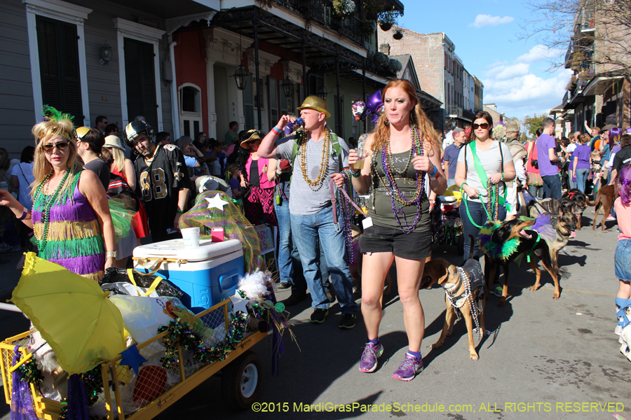 Mystic-Krewe-of-Barkus-2015-13078