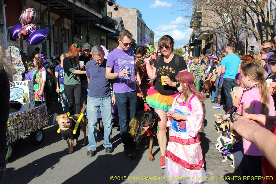 Mystic-Krewe-of-Barkus-2015-13079