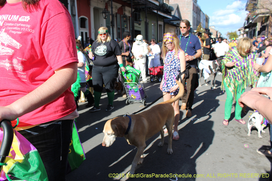 Mystic-Krewe-of-Barkus-2015-13082