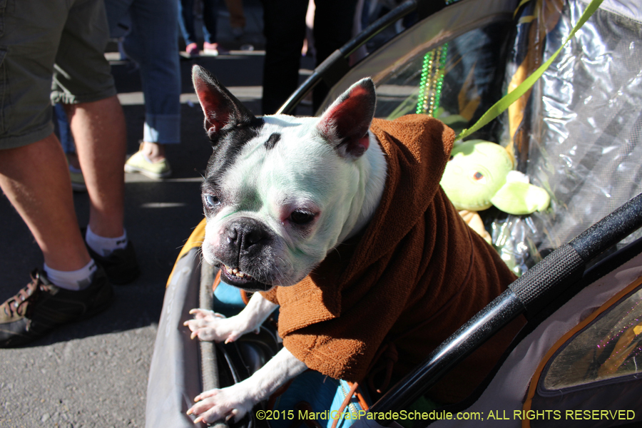 Mystic-Krewe-of-Barkus-2015-13083