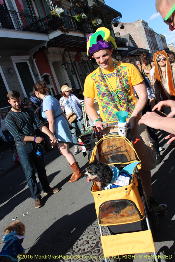 Mystic-Krewe-of-Barkus-2015-13089