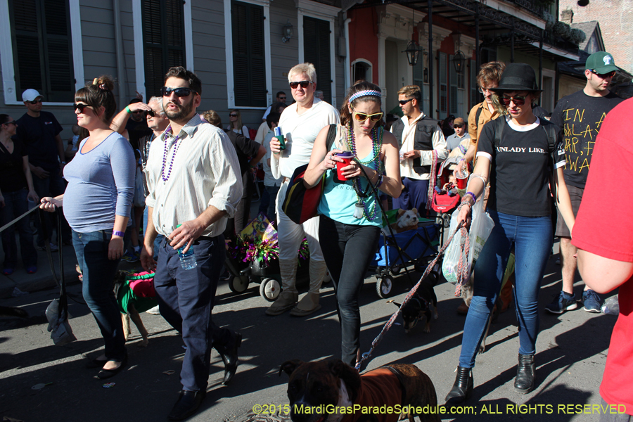 Mystic-Krewe-of-Barkus-2015-13091