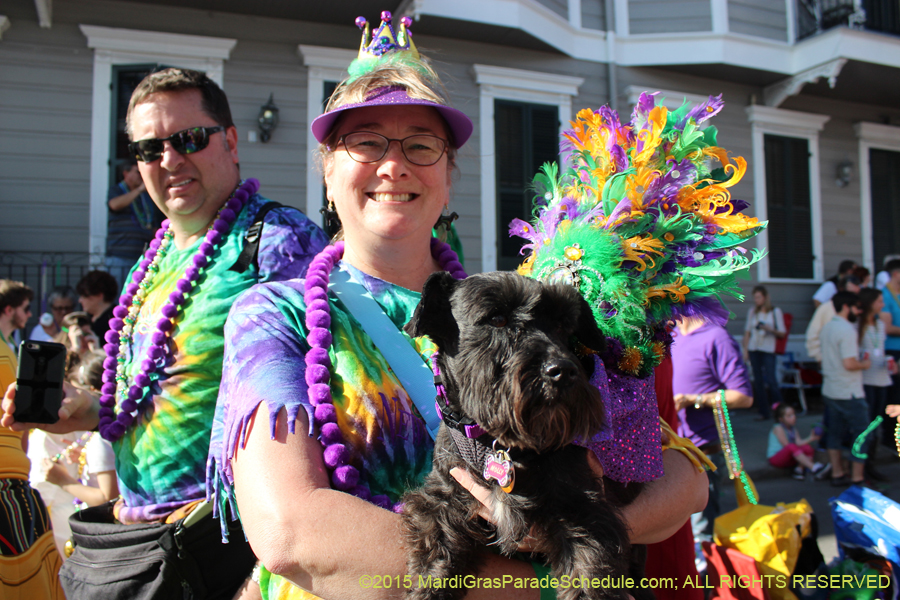 Mystic-Krewe-of-Barkus-2015-13097