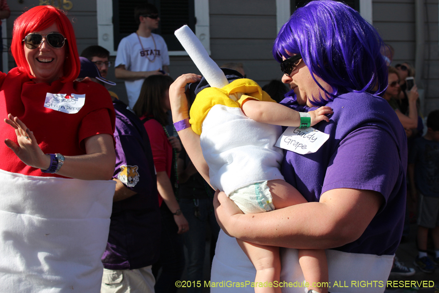 Mystic-Krewe-of-Barkus-2015-13102