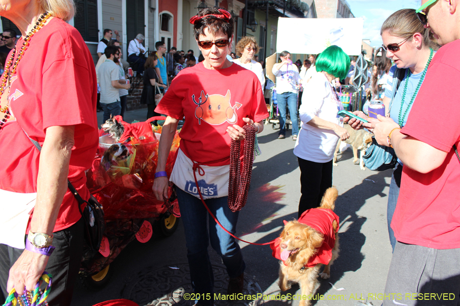 Mystic-Krewe-of-Barkus-2015-13103