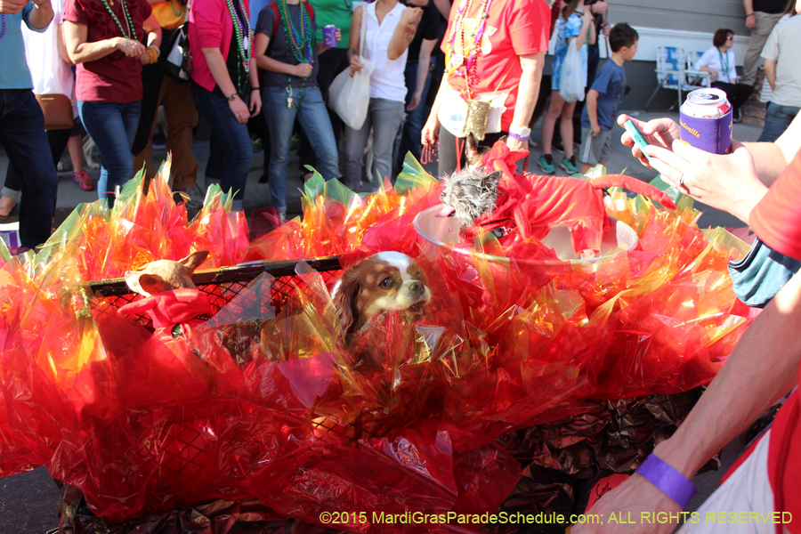 Mystic-Krewe-of-Barkus-2015-13104