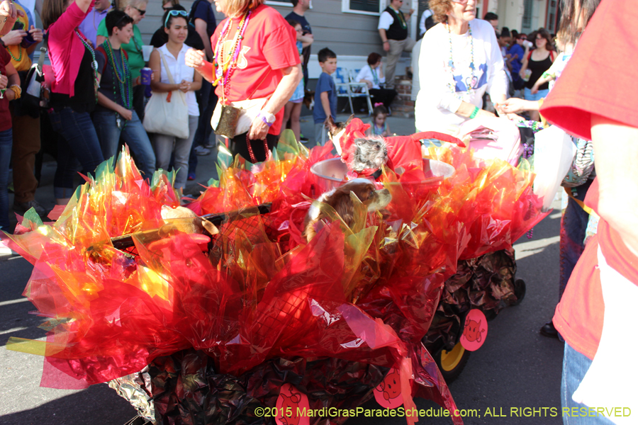 Mystic-Krewe-of-Barkus-2015-13105