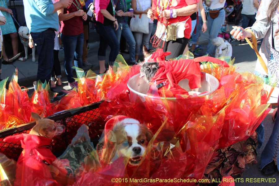 Mystic-Krewe-of-Barkus-2015-13106