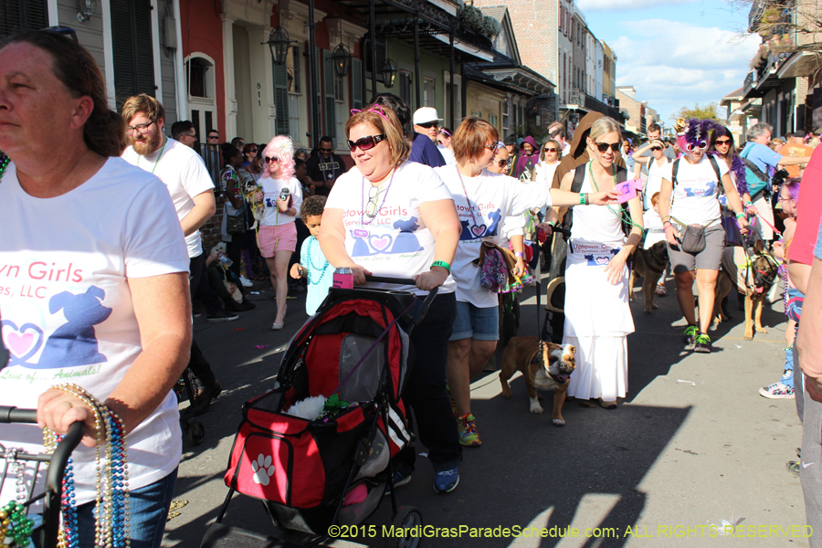 Mystic-Krewe-of-Barkus-2015-13108