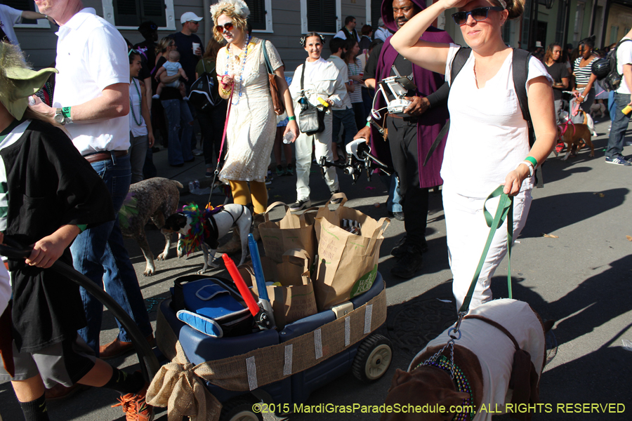 Mystic-Krewe-of-Barkus-2015-13113