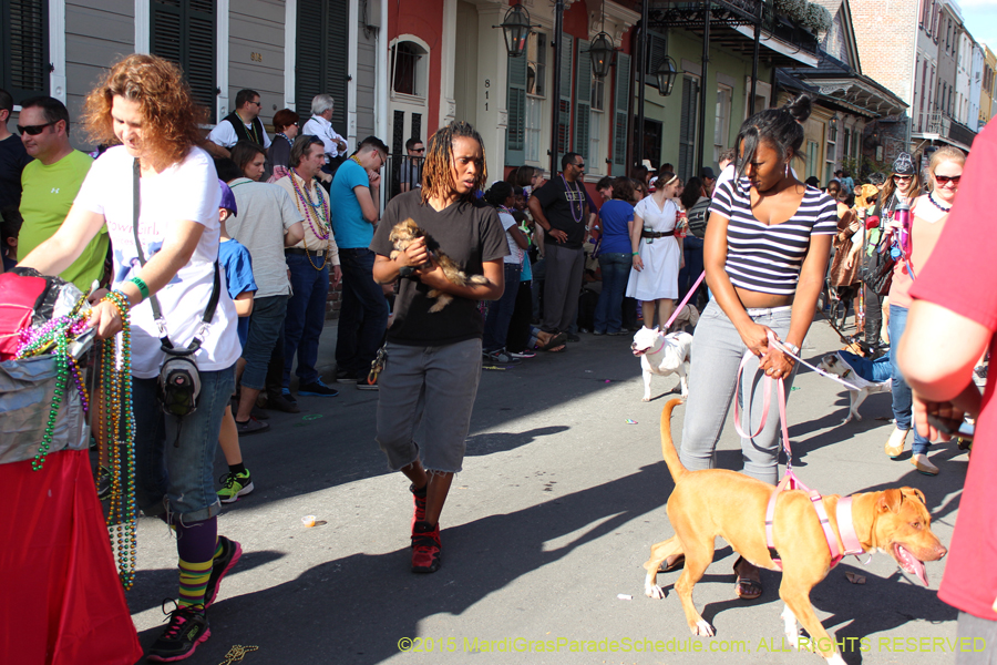 Mystic-Krewe-of-Barkus-2015-13114