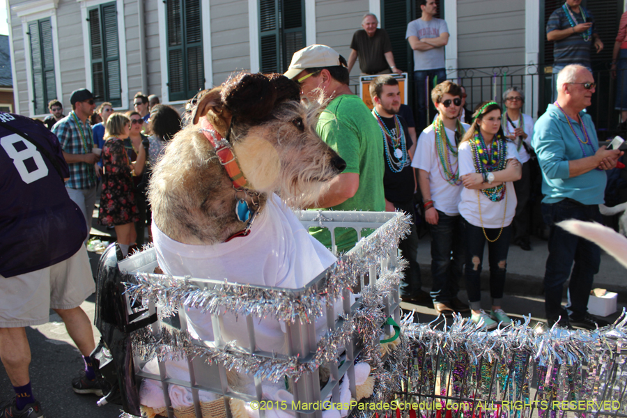 Mystic-Krewe-of-Barkus-2015-13119