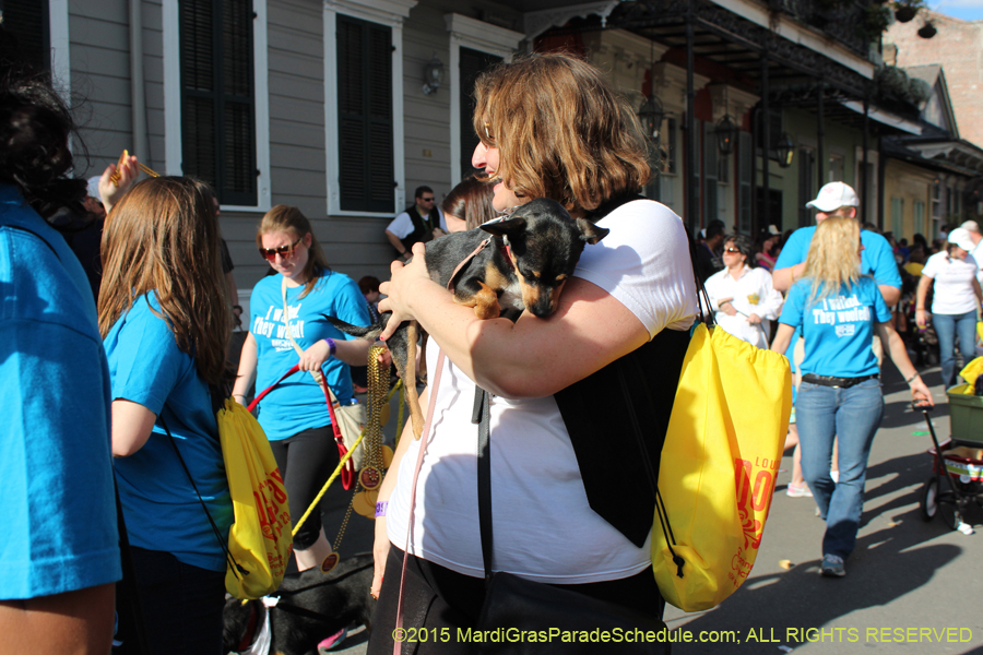 Mystic-Krewe-of-Barkus-2015-13121