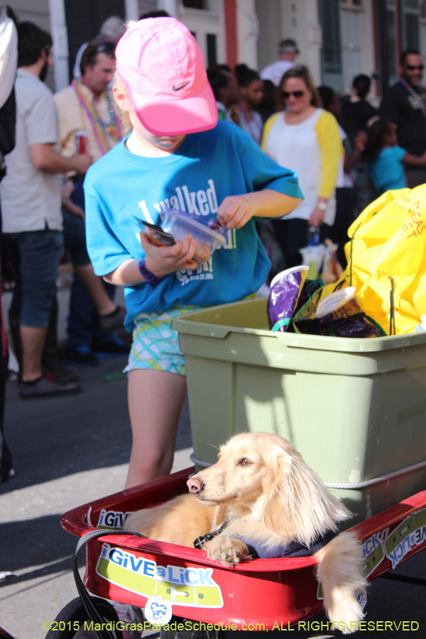 Mystic-Krewe-of-Barkus-2015-13122