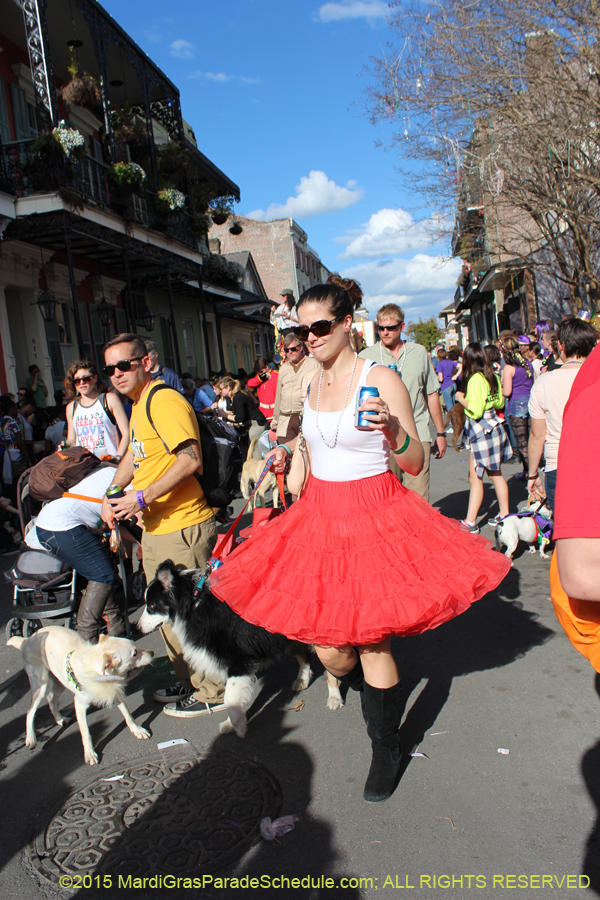 Mystic-Krewe-of-Barkus-2015-13124