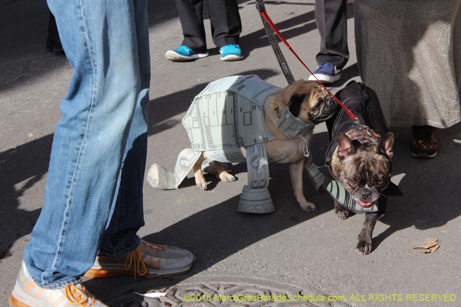 Mystic-Krewe-of-Barkus-2015-13125