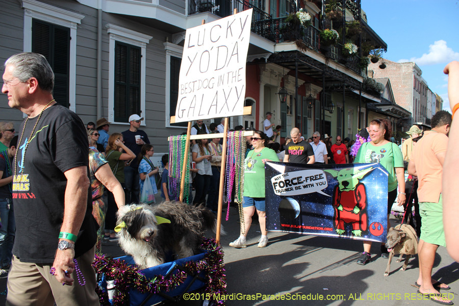 Mystic-Krewe-of-Barkus-2015-13127