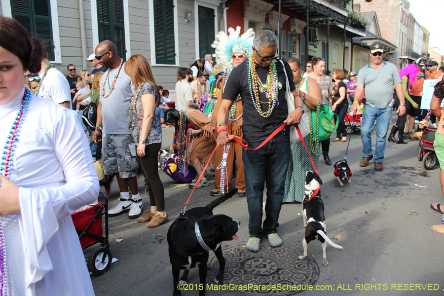 Mystic-Krewe-of-Barkus-2015-13131