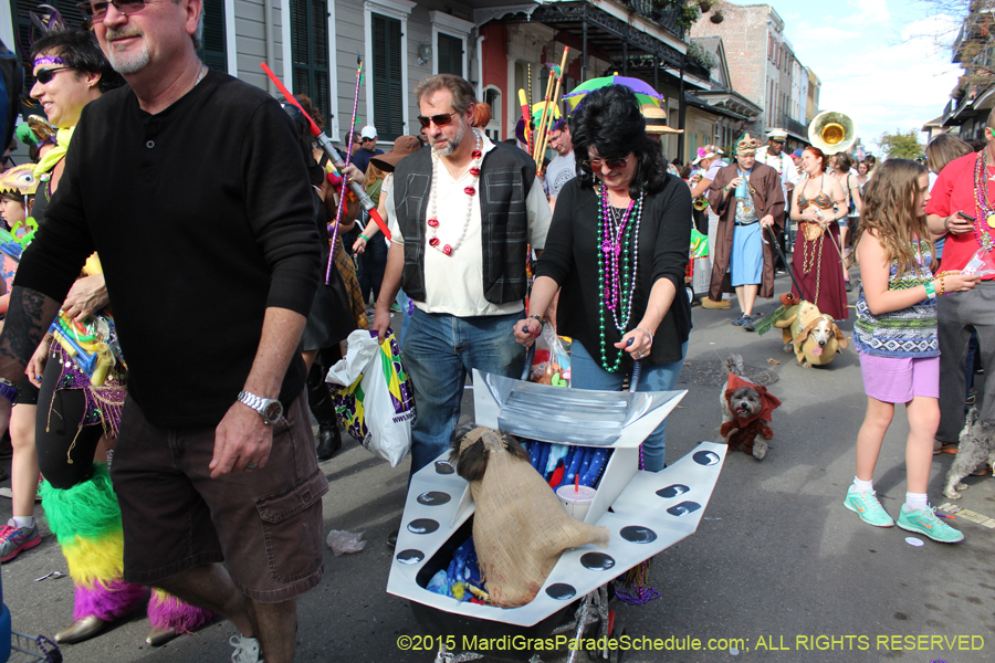 Mystic-Krewe-of-Barkus-2015-13138