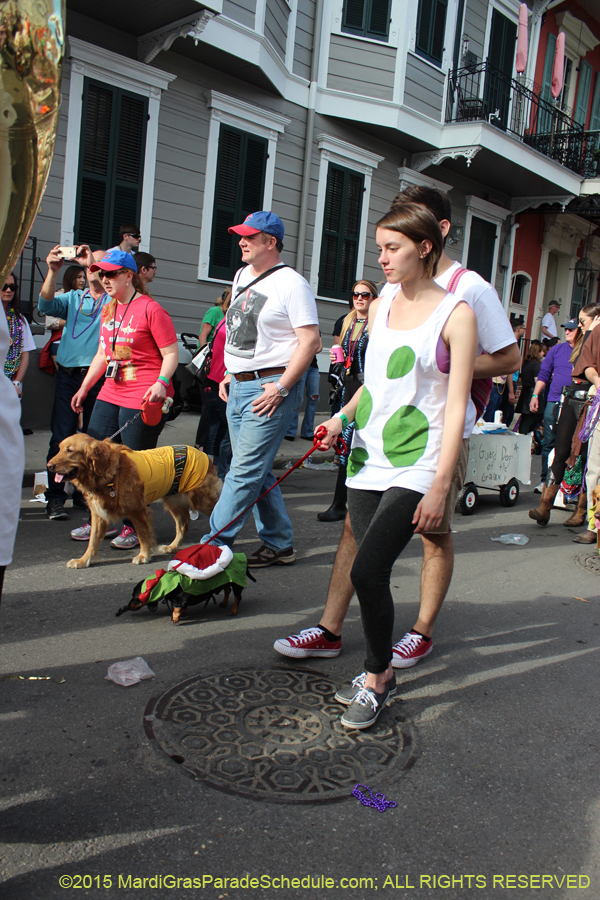 Mystic-Krewe-of-Barkus-2015-13141