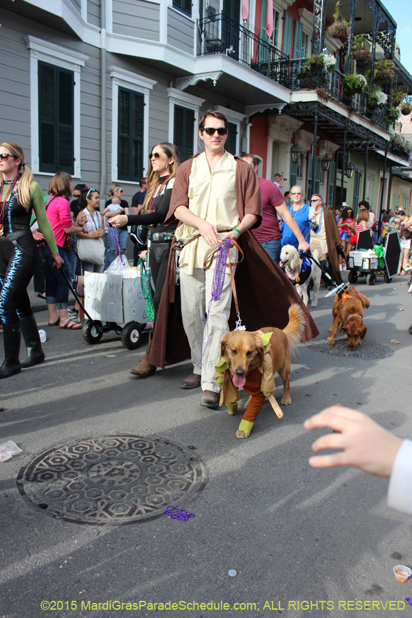 Mystic-Krewe-of-Barkus-2015-13142