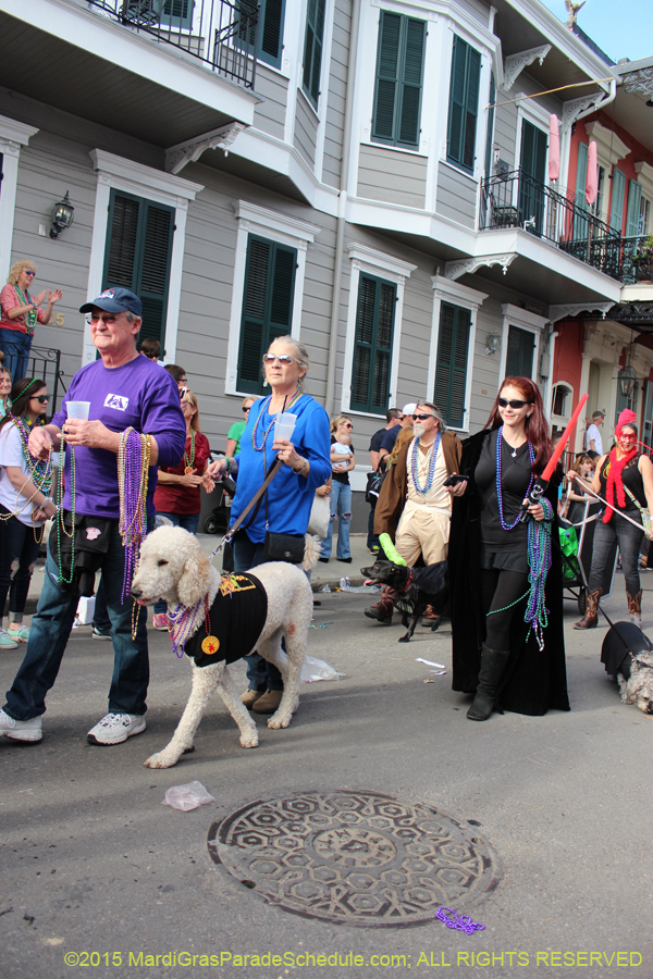 Mystic-Krewe-of-Barkus-2015-13143