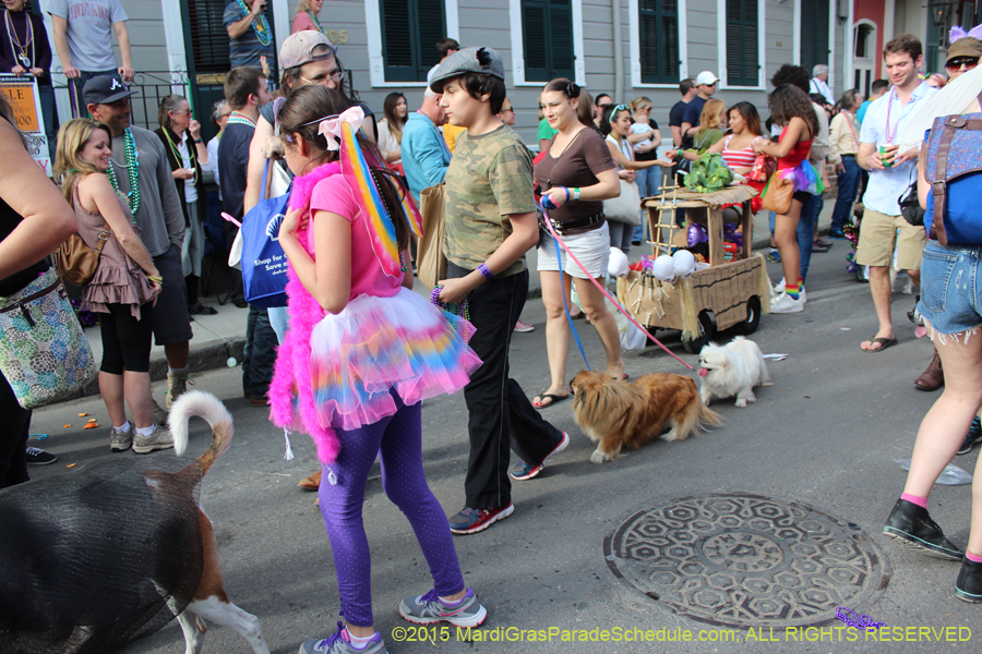 Mystic-Krewe-of-Barkus-2015-13144