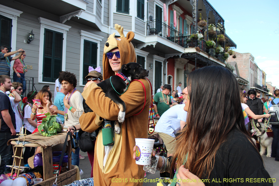 Mystic-Krewe-of-Barkus-2015-13145