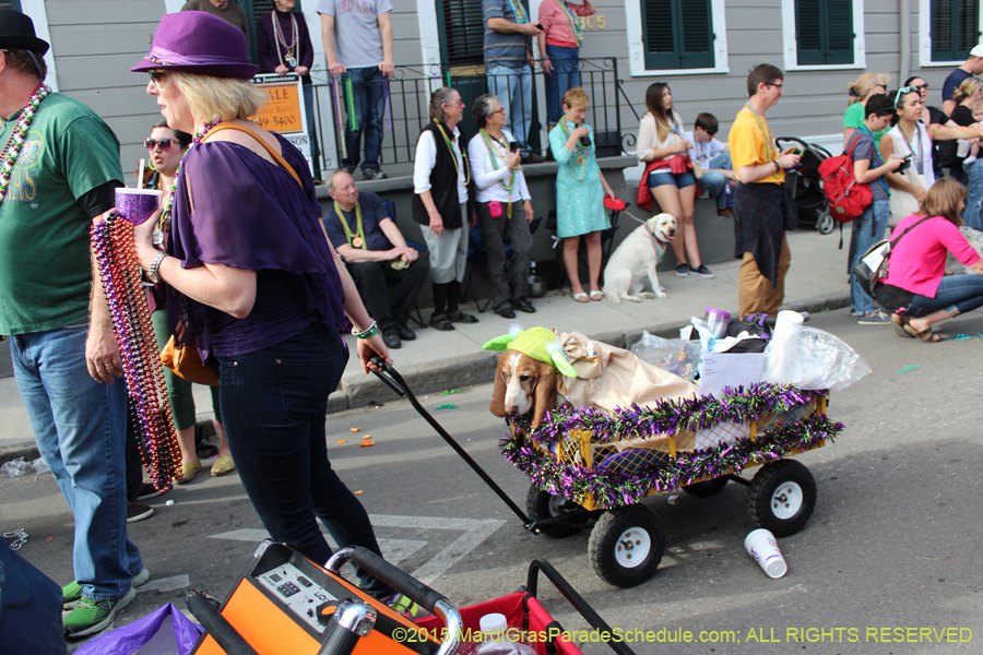 Mystic-Krewe-of-Barkus-2015-13147