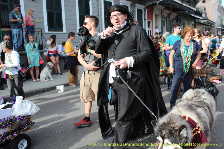 Mystic-Krewe-of-Barkus-2015-13148