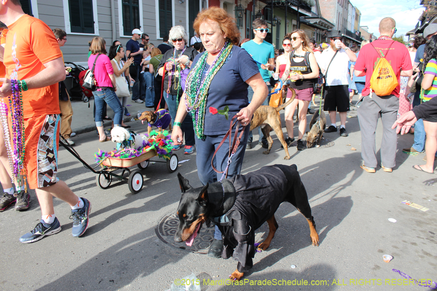 Mystic-Krewe-of-Barkus-2015-13149