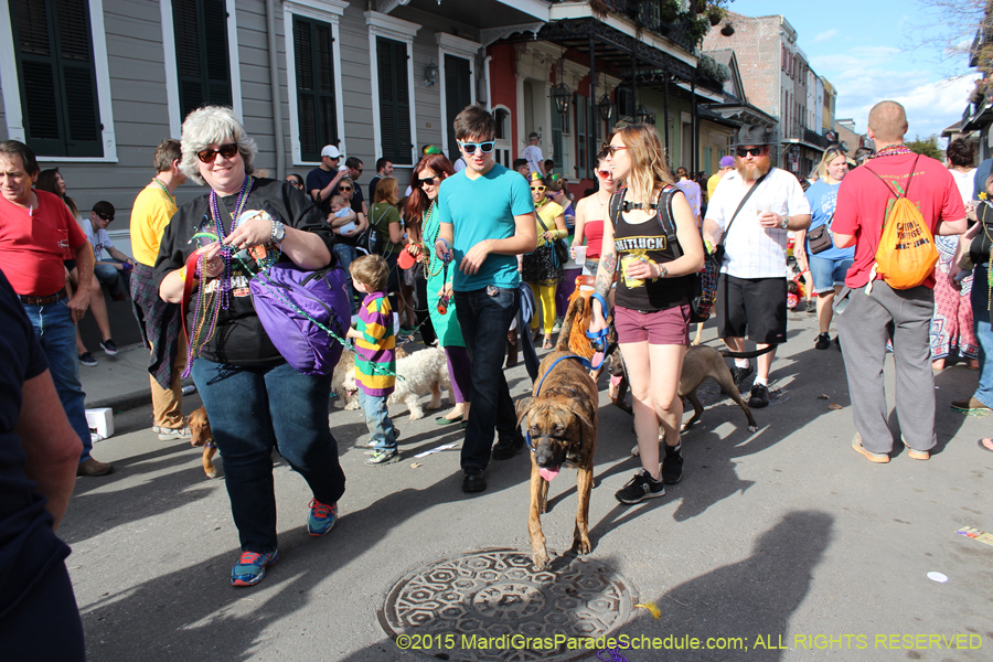 Mystic-Krewe-of-Barkus-2015-13150