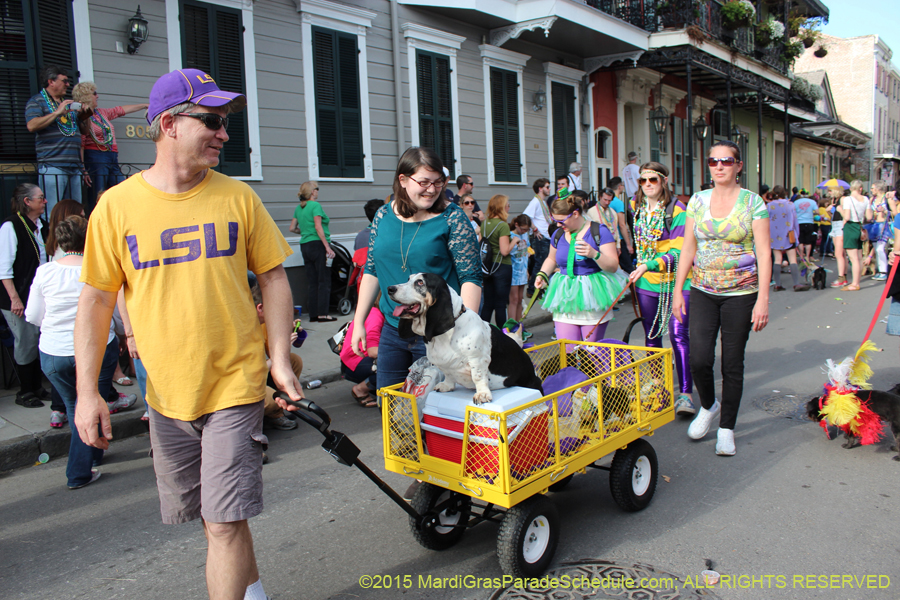 Mystic-Krewe-of-Barkus-2015-13152