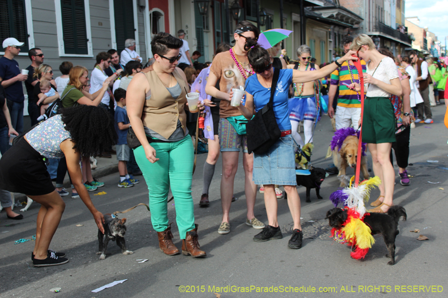 Mystic-Krewe-of-Barkus-2015-13153