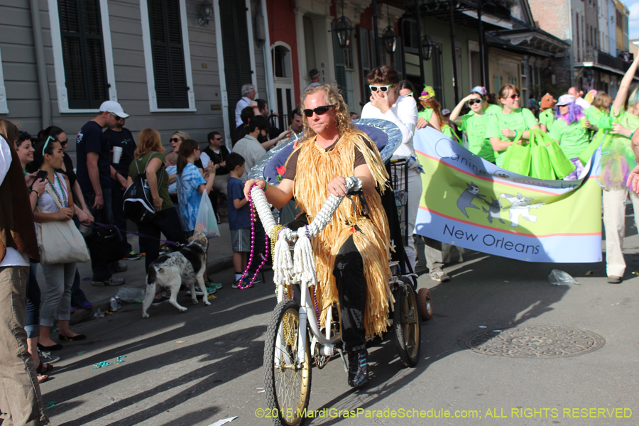 Mystic-Krewe-of-Barkus-2015-13155