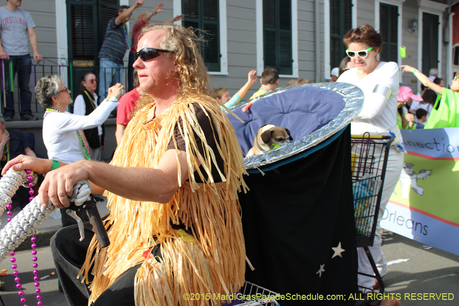 Mystic-Krewe-of-Barkus-2015-13156