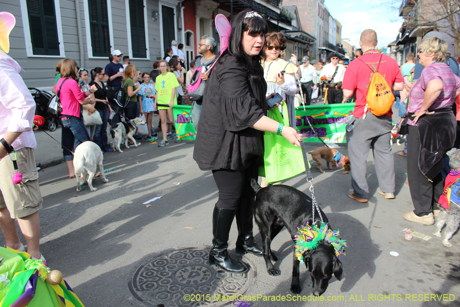 Mystic-Krewe-of-Barkus-2015-13158